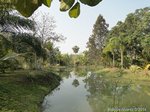 Le Jardin
                                              - The Garden