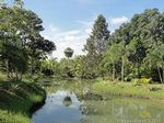 Le Jardin
                                              - The Garden